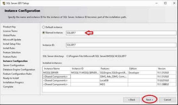 1 Plugin Instance Name