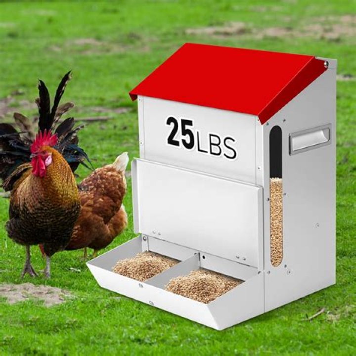 200lb Turkey Feeder Feeder, Chicken feeder decor, Turkey