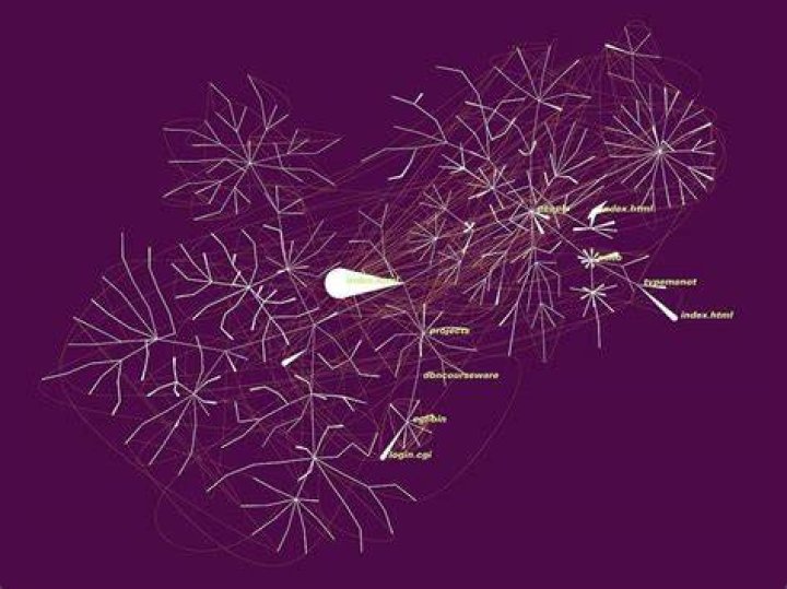 Anemone Visualization