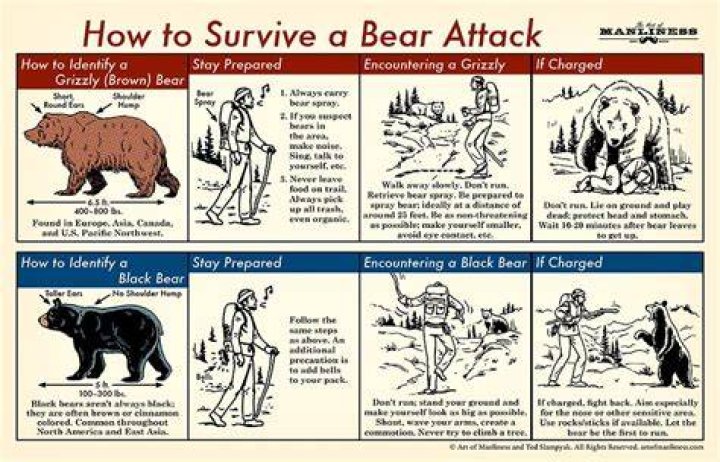 Attack Illustrated