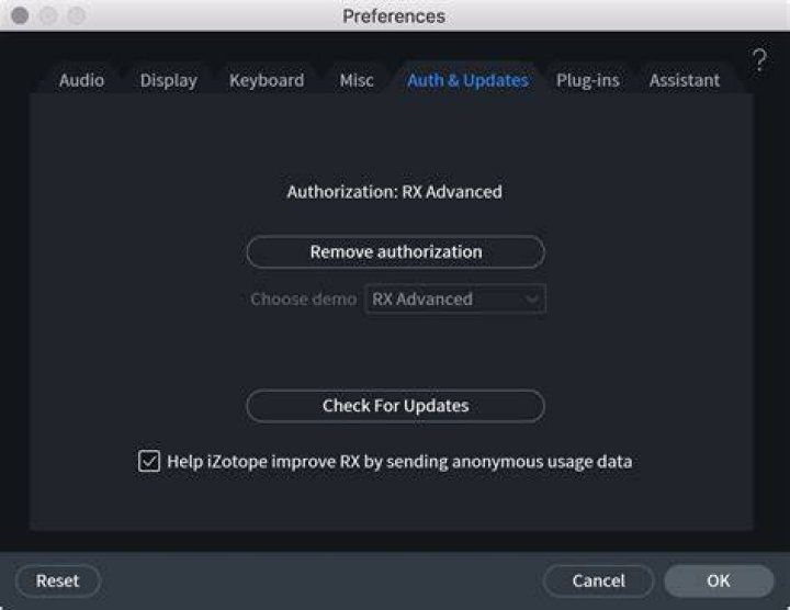 Auth & Updates tab of the Preferences window