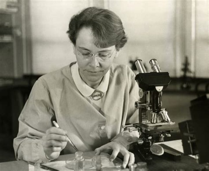 Barbara McClintock Wikipedia