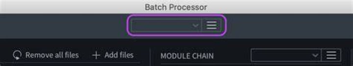 Batch Processor Preset Dropdown