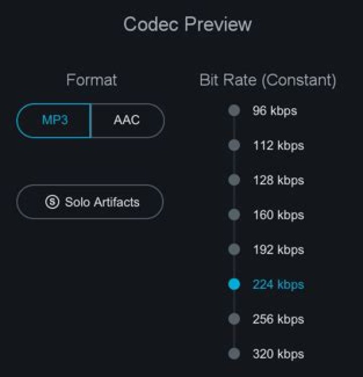 Codec Preview Controls
