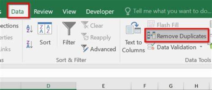 Delete Duplicates