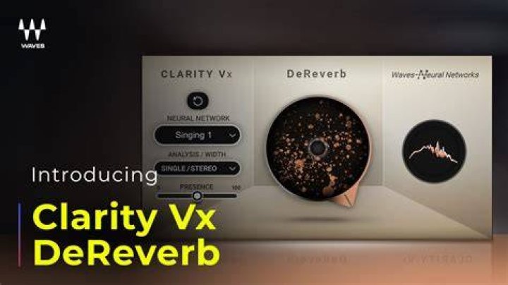 De-reverb Module Interface