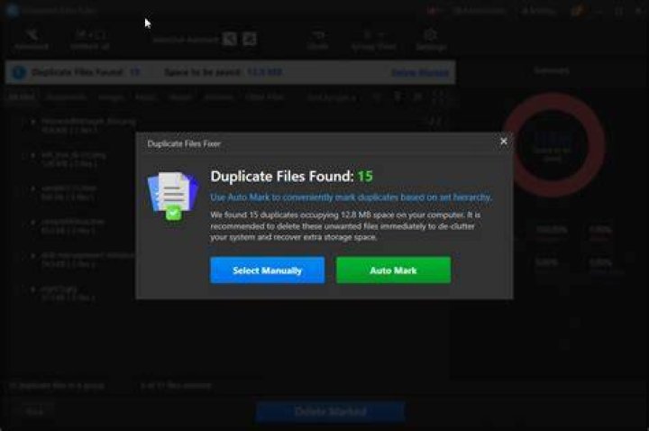 Duplicate Files Fixer
