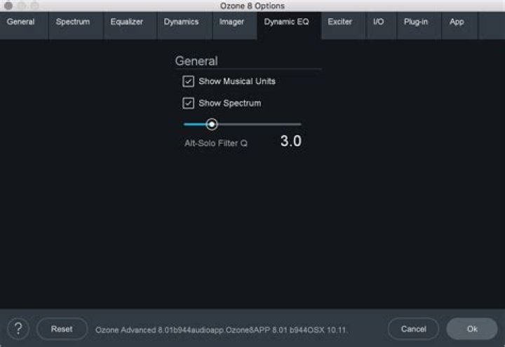 dyn eq options tab