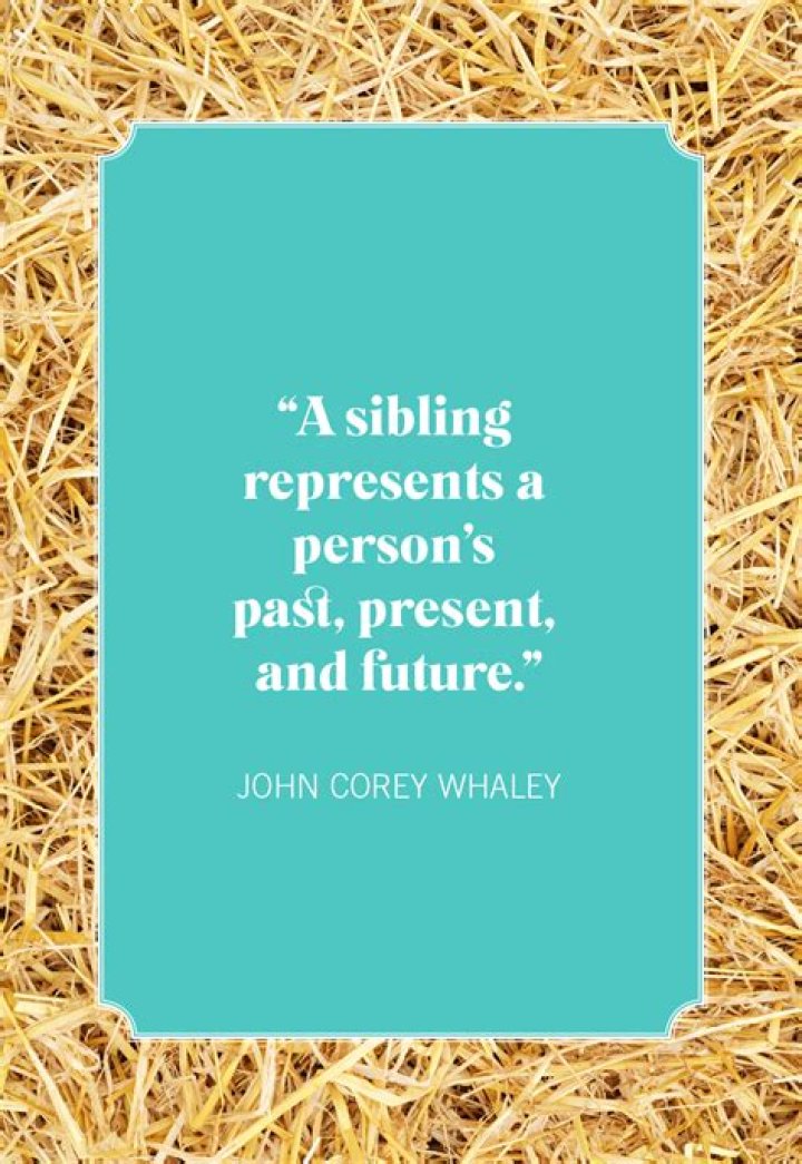Explore Quotes On Sibling Fighting For Insightful Discoveries