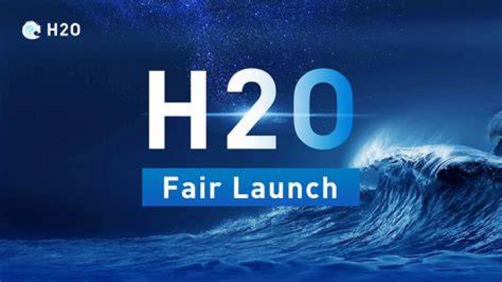 H2O Fair Infogram