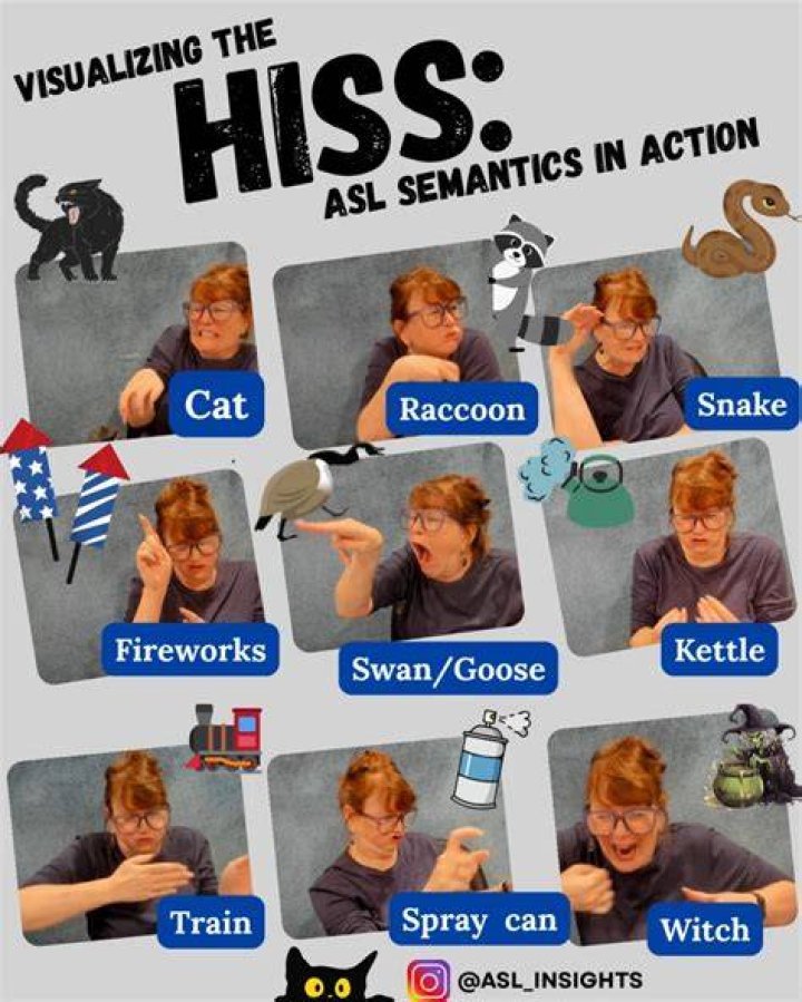 Hiss Example