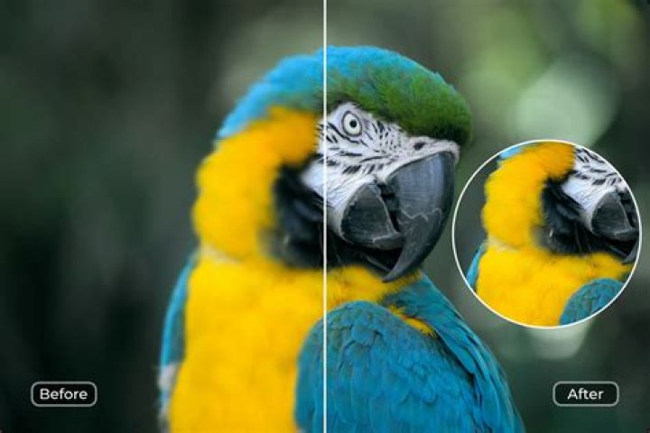 Image Enhancement