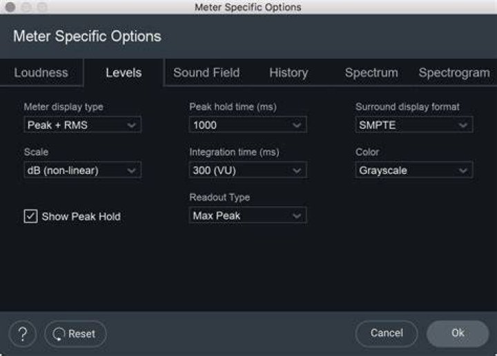 Level meter options