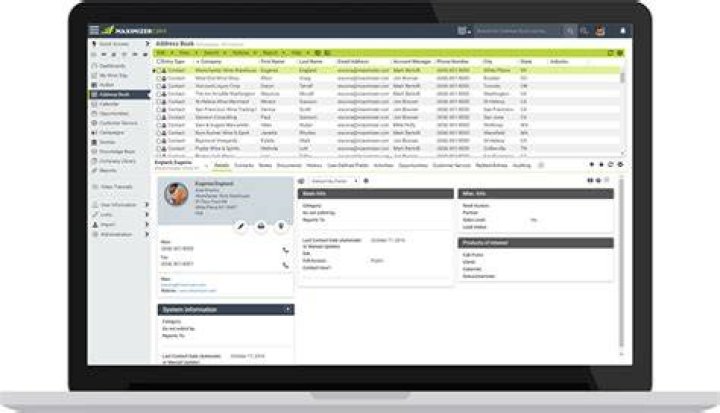 Maximizer Interface