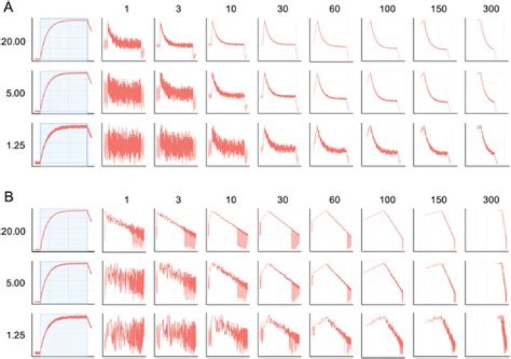 Maximum curve smoothing