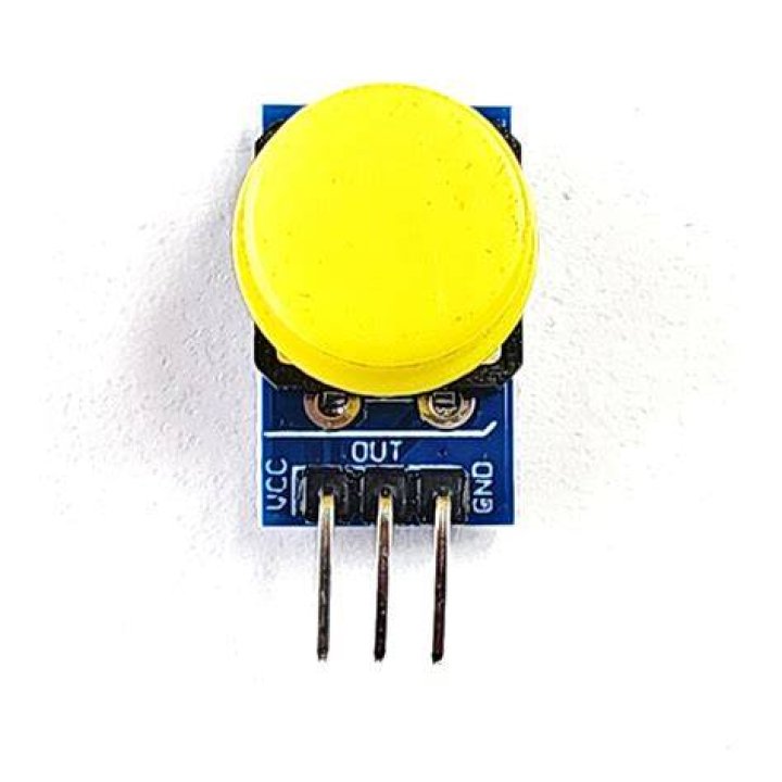 Module power button