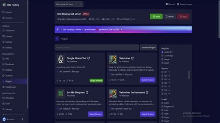 Plug-in Hosting window
