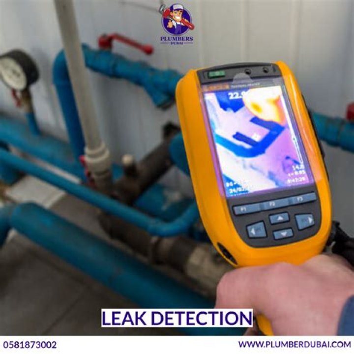 Plumber Leak Detection UnitedStates