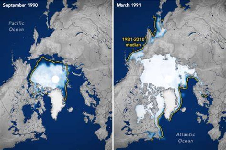 Polar level view