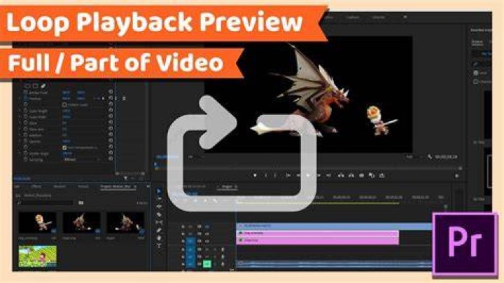 Preview Playback