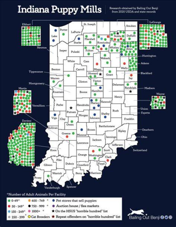 Puppy Mills by State Bailing Out Benji
