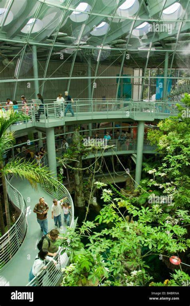 Rainforest Exhibit Rainforest Exhibit