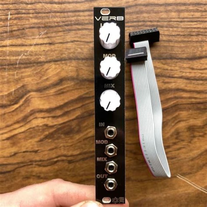 Reverb module in module chain