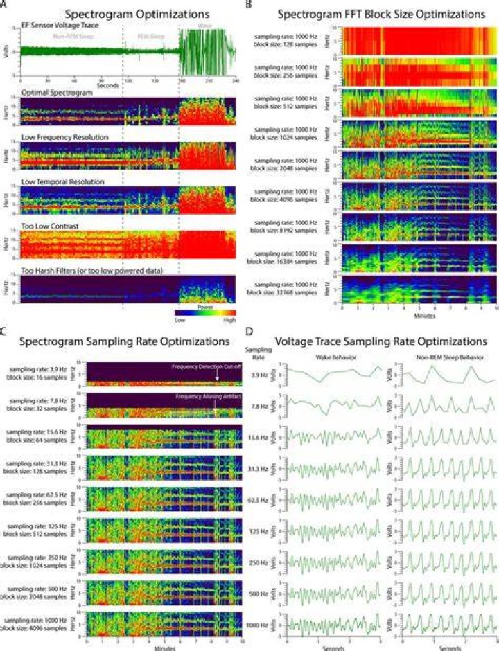 Spectrogram Options