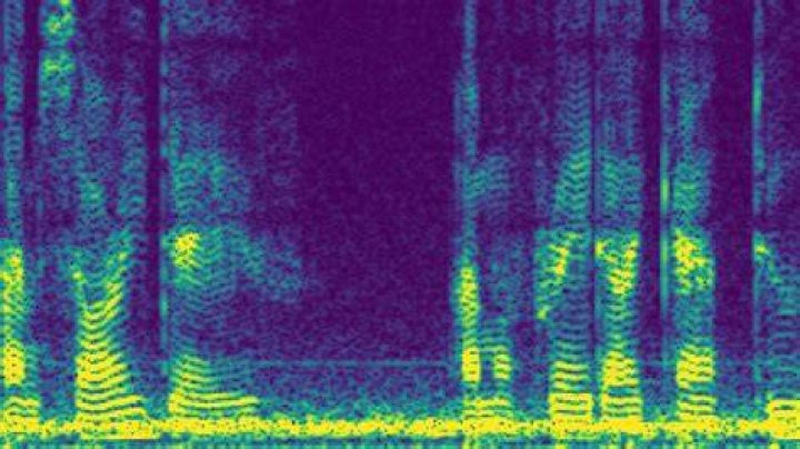 spectrogram