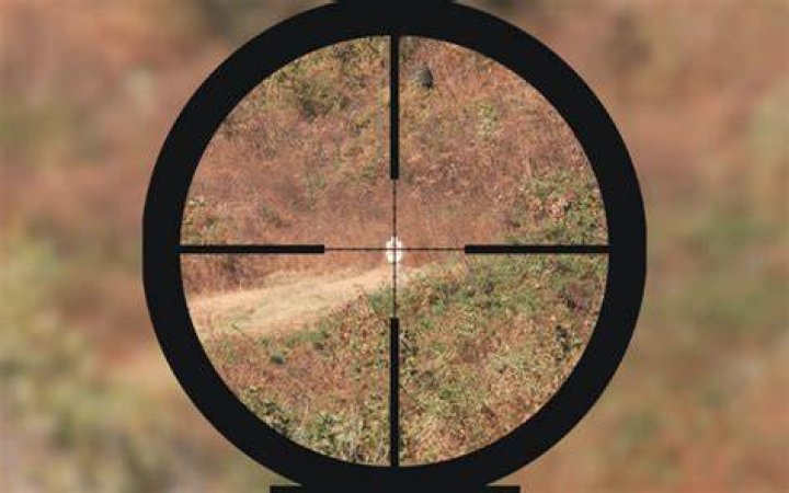 surround scope view