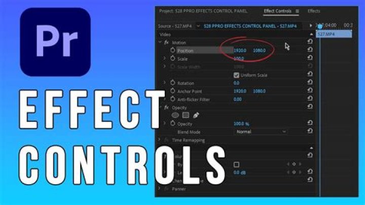 Transform effect controls