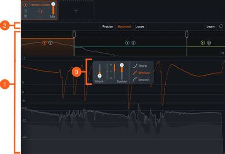 Transient Shaper Module Interface