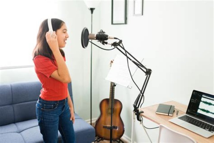 Vocal Assistant Working
