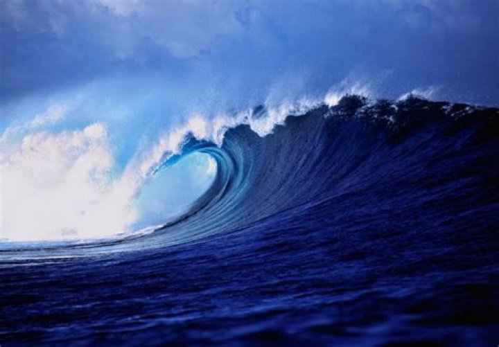 wave only