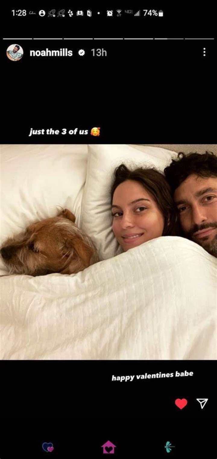 Who Is Noah Mills' Wife? Is the Star of 'NCIS Hawai'i' Single?